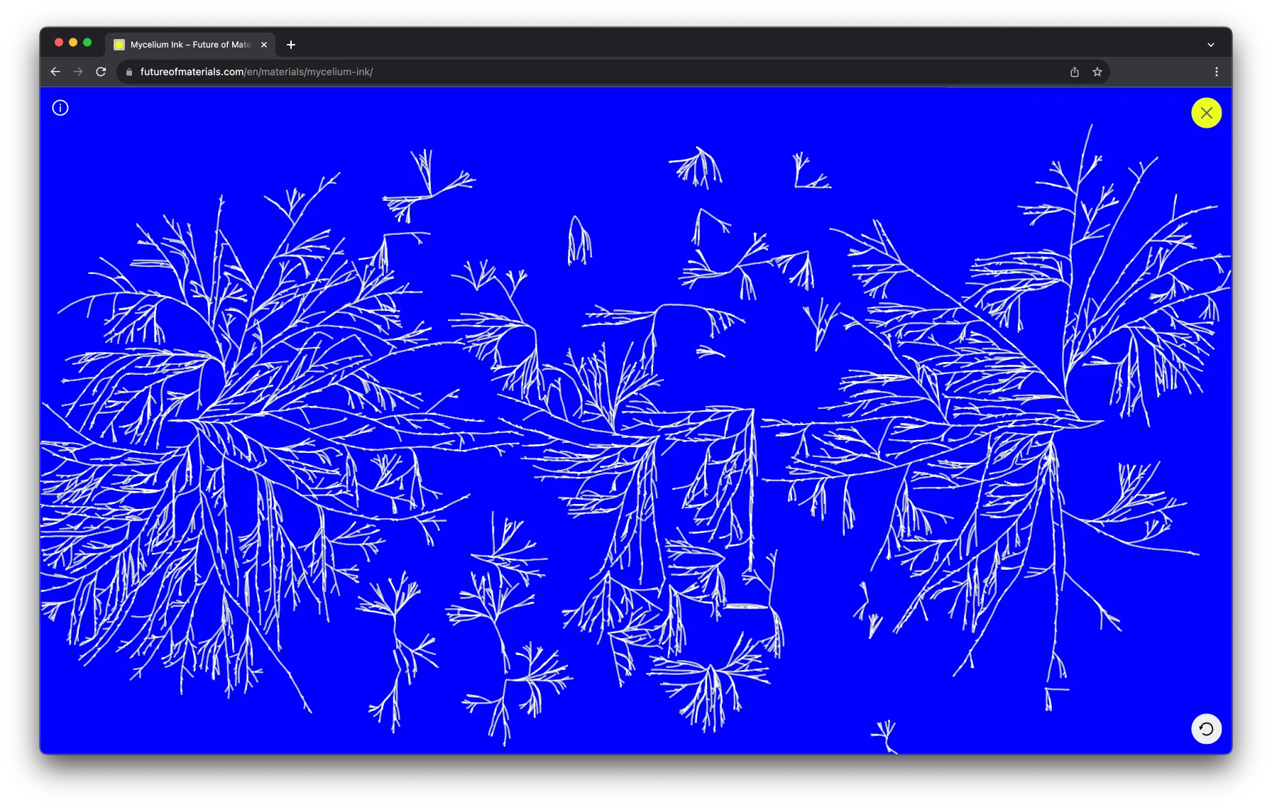 04 Mycelium Interactive